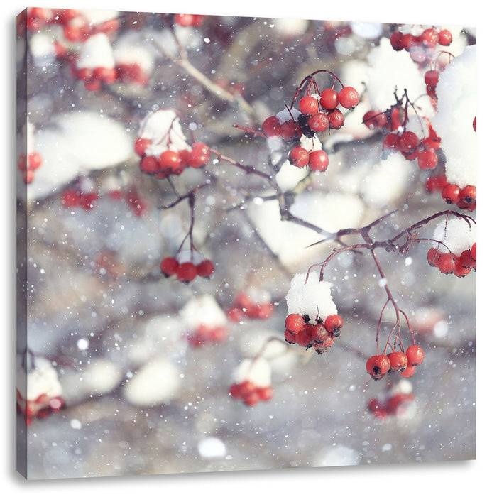 Pixxprint Vogelbeeren mit Schnee bedeckt, Leinwandbild Blitzangebot
