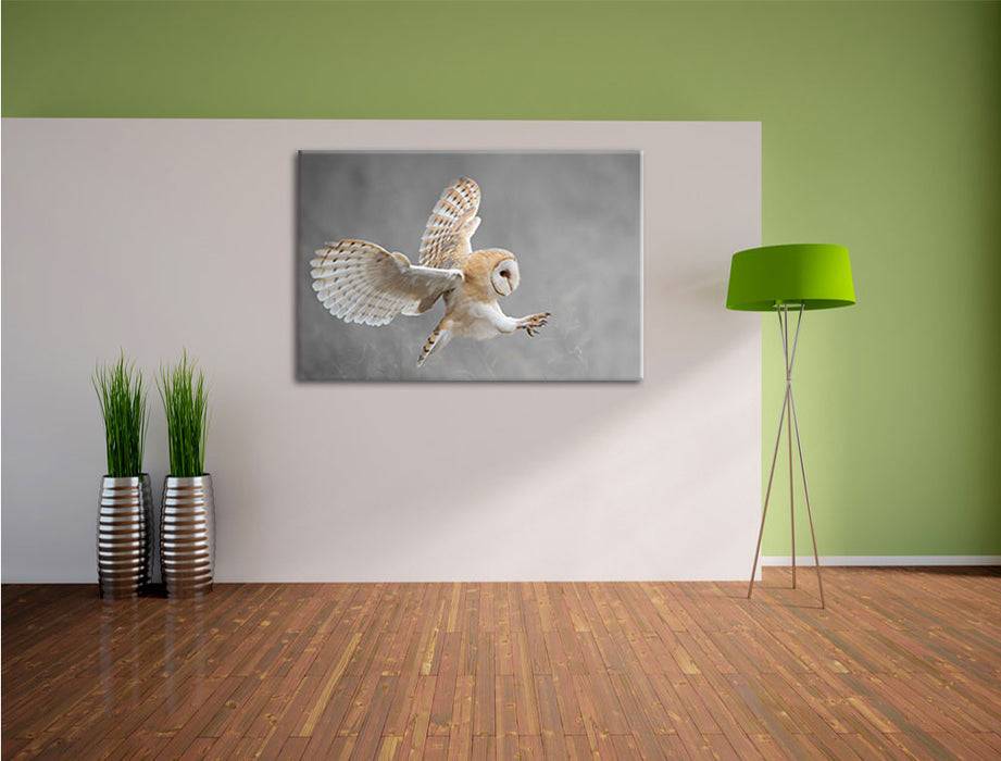 Pixxprint Weiße Eule bei der Jagd B&W, Leinwandbild Neuheiten