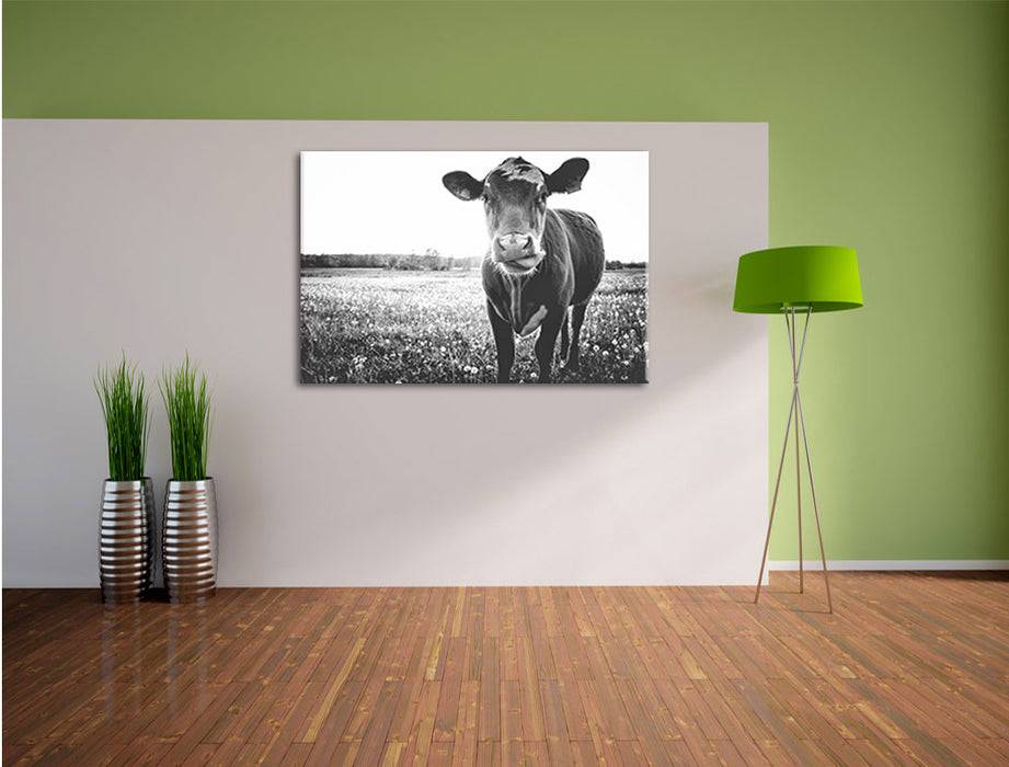 Pixxprint Kuh auf Wiese B&W, Leinwandbild Bestseller