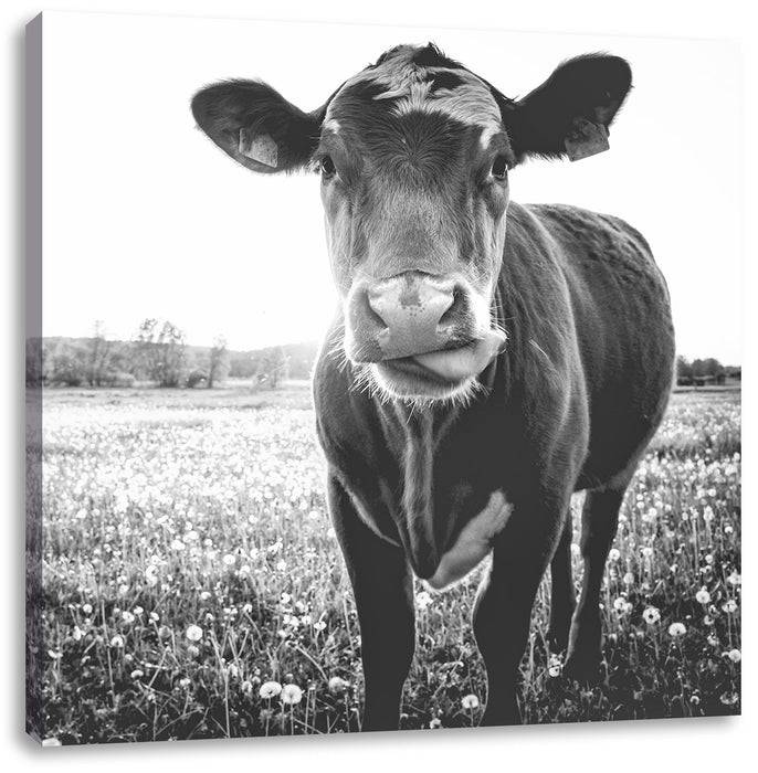 Pixxprint Kuh auf Wiese B&W, Leinwandbild Bestseller