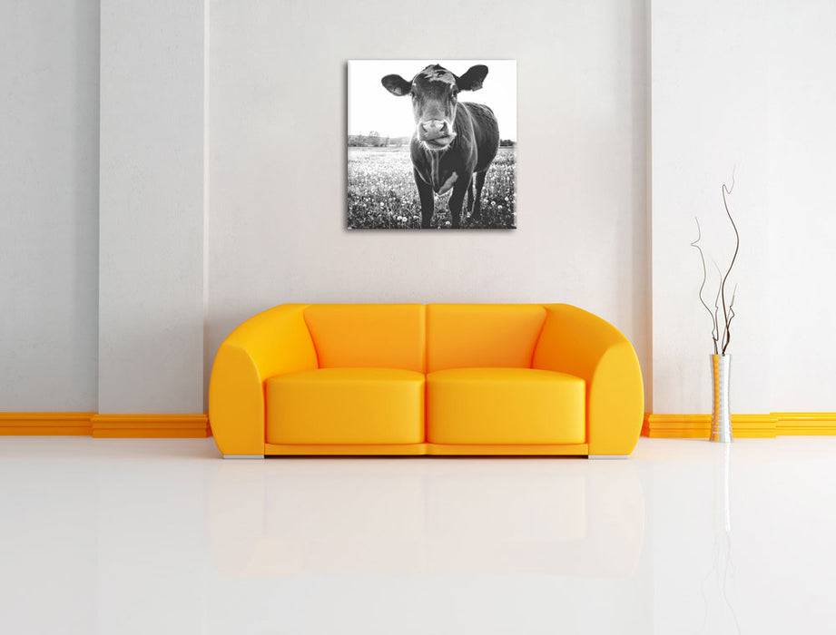 Pixxprint Kuh auf Wiese B&W, Leinwandbild Bestseller