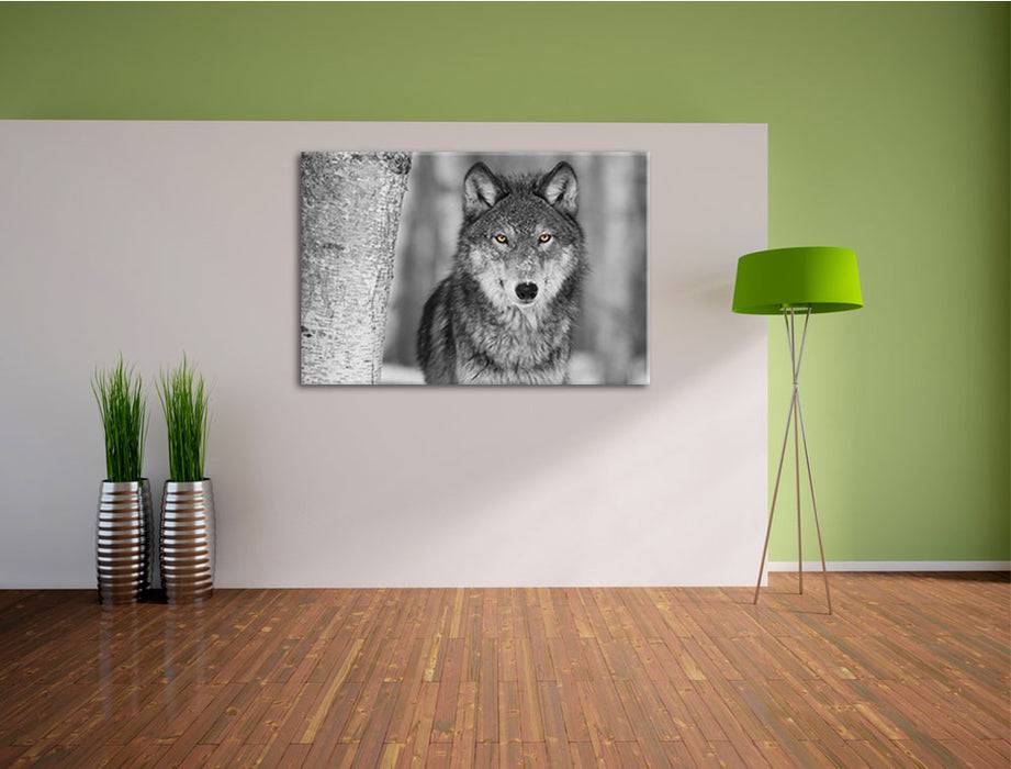 Pixxprint wunderschöner wachsamer Wolf, Leinwandbild Saisonale Angebote