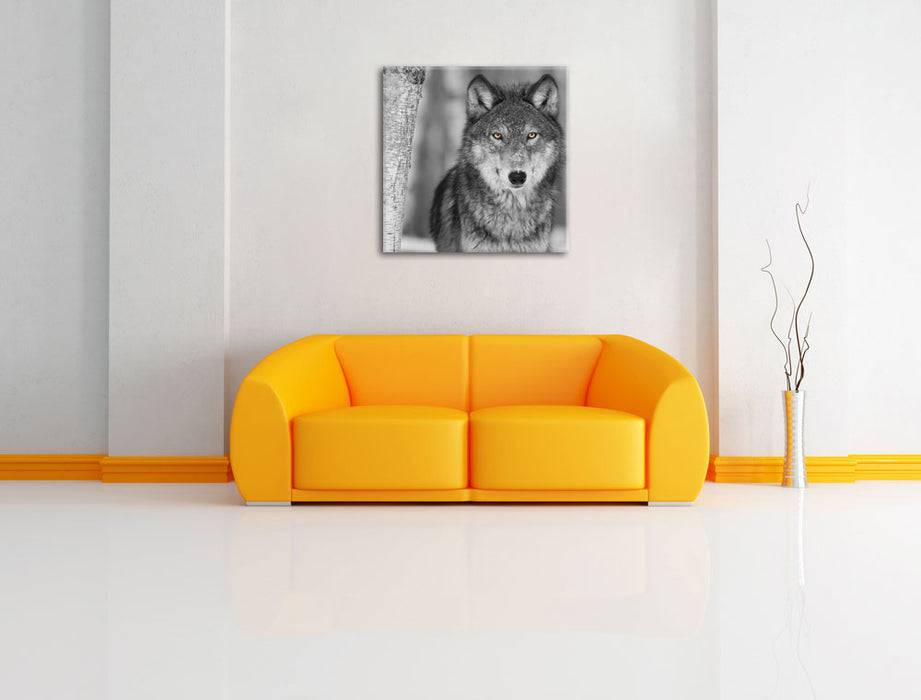 Pixxprint wunderschöner wachsamer Wolf, Leinwandbild Saisonale Angebote