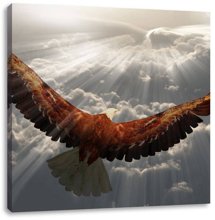 Pixxprint Adler über den Wolken, Leinwandbild Riesige Ersparnisse