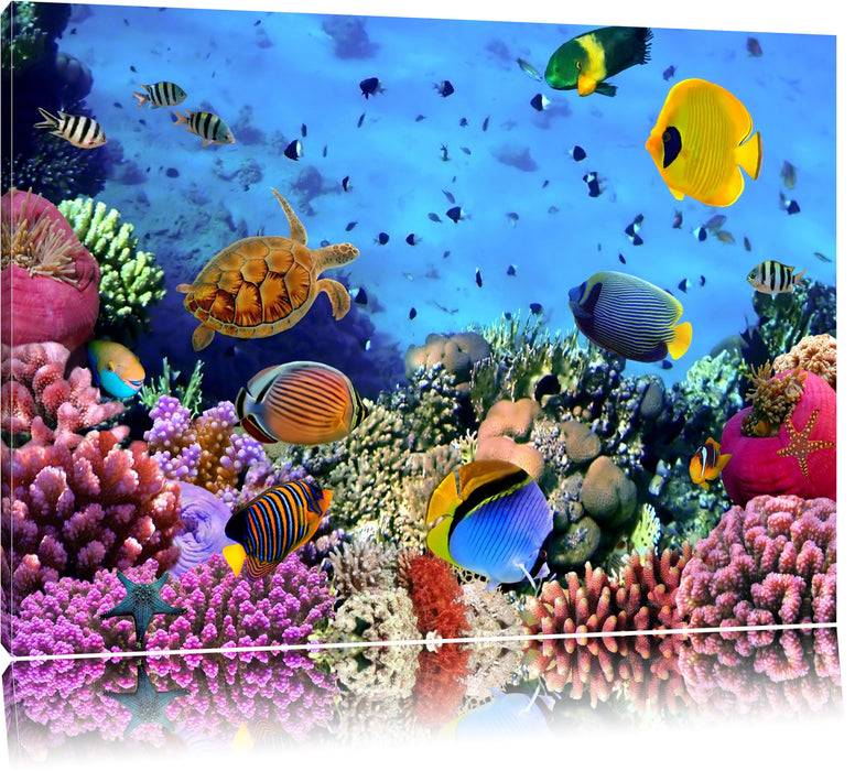 Pixxprint Fische über Korallenriff, Leinwandbild