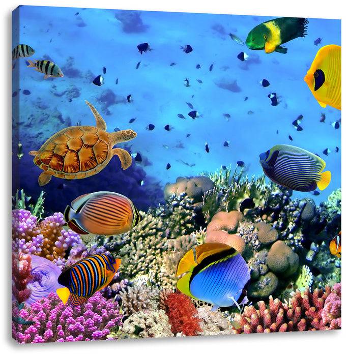 Pixxprint Fische über Korallenriff, Leinwandbild Tiefpreis