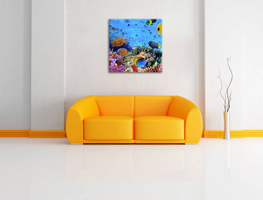 Pixxprint Fische über Korallenriff, Leinwandbild Tiefpreis