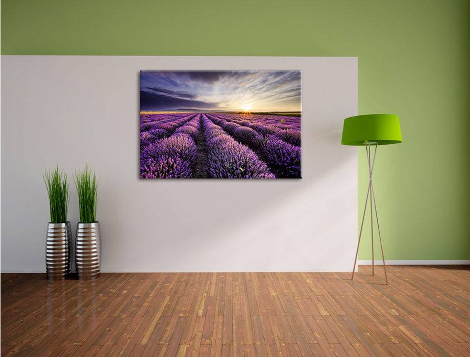Pixxprint Lavendel Provence Landschaft, Leinwandbild Kostenlose Rückgabe
