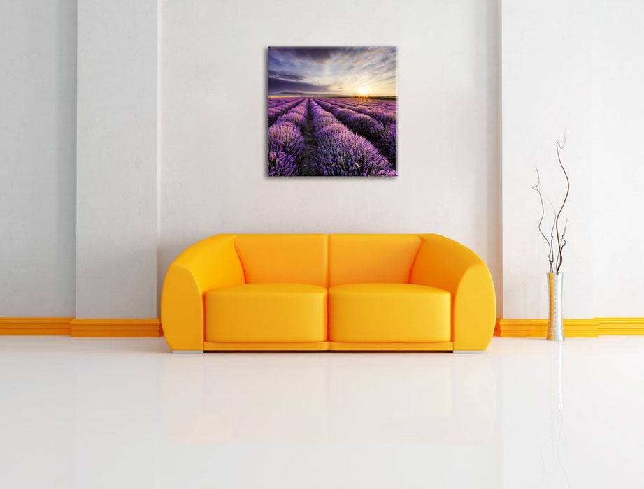 Pixxprint Lavendel Provence Landschaft, Leinwandbild Kostenlose Rückgabe