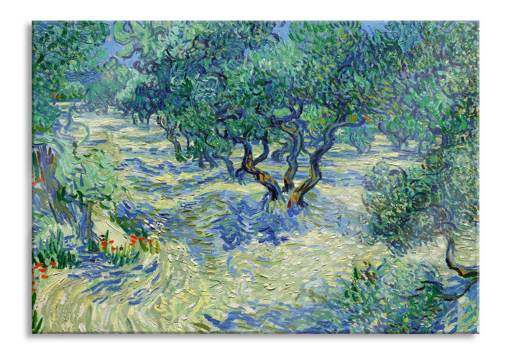Pixxprint Vincent Van Gogh - Oliven-Feld , Glasbild