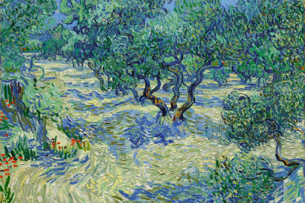 Pixxprint Vincent Van Gogh - Oliven-Feld , Glasbild Vierteljährliche Förderung