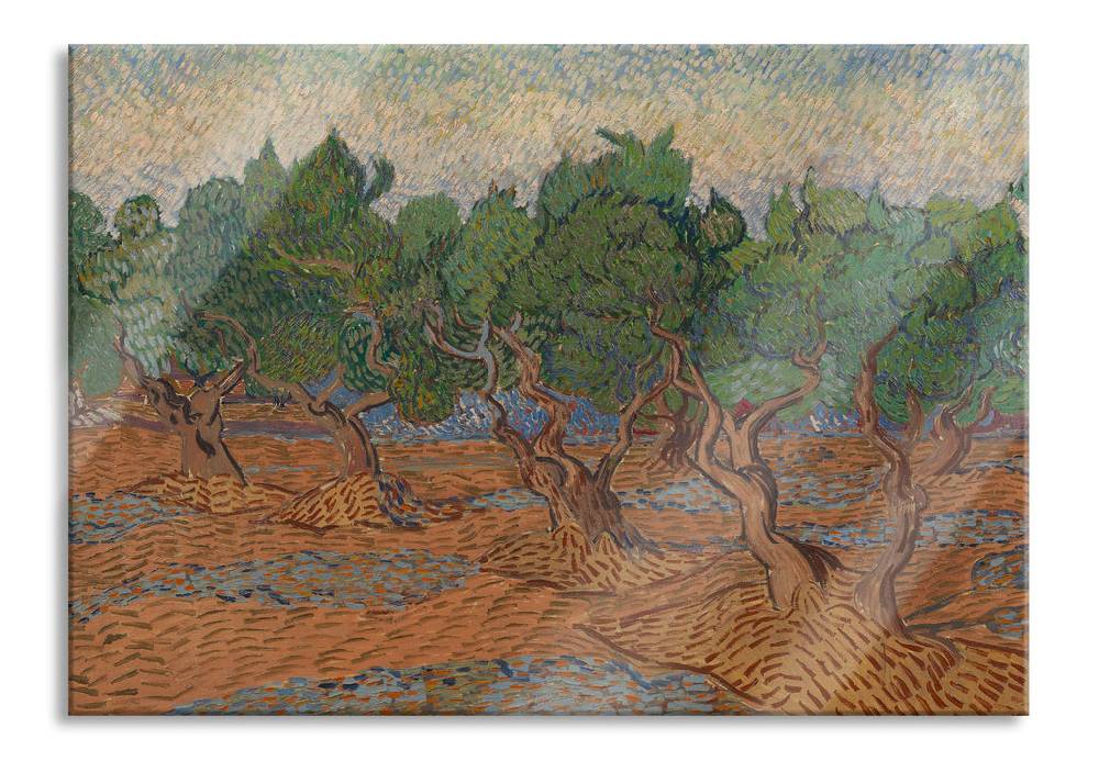 Pixxprint Vincent Van Gogh - Oliven-Hain , Glasbild