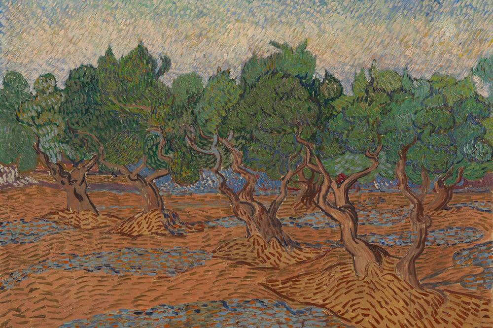 Pixxprint Vincent Van Gogh - Oliven-Hain , Glasbild Nur noch ein Tag übrig