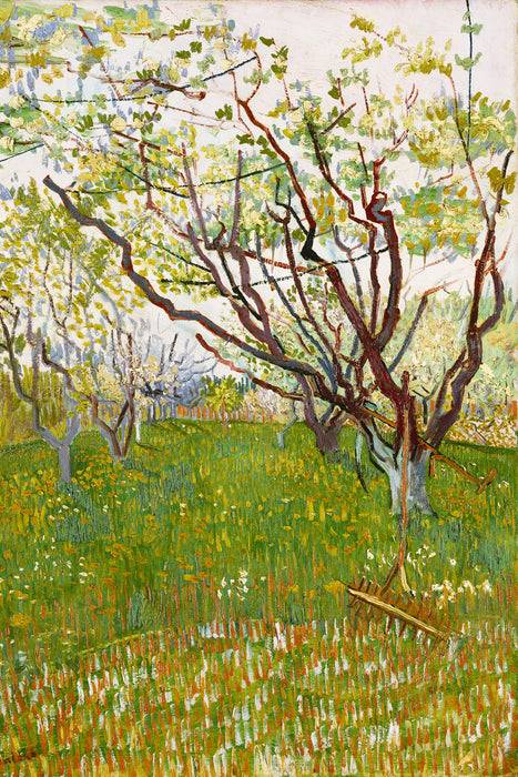 Pixxprint Vincent Van Gogh - Der blühende Obstgarten , Glasbild Begrenzt auf 3 Tage