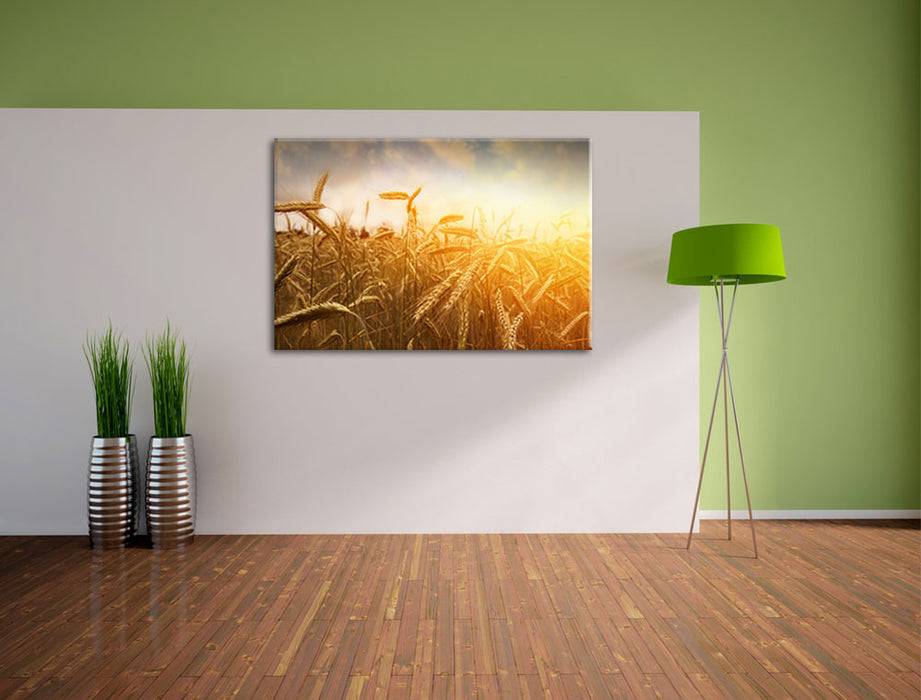 Pixxprint Getreide im Sonnenlicht, Leinwandbild 2025