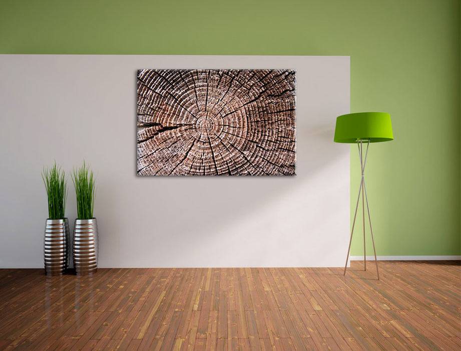 Pixxprint Baumstamm Jahresringe, Leinwandbild Outlet