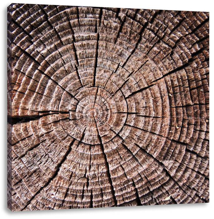 Pixxprint Baumstamm Jahresringe, Leinwandbild Outlet