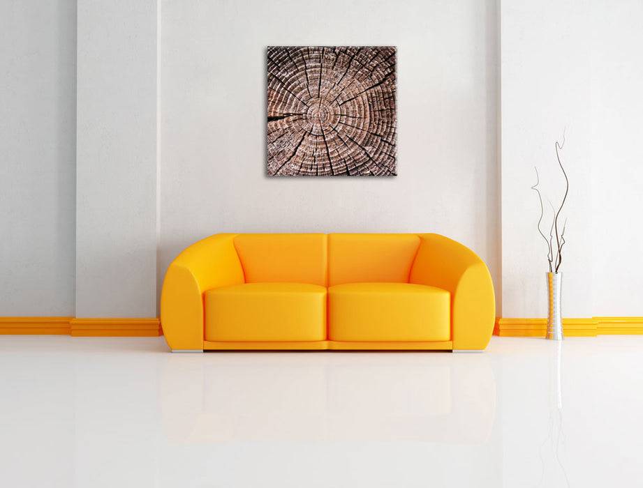 Pixxprint Baumstamm Jahresringe, Leinwandbild Outlet