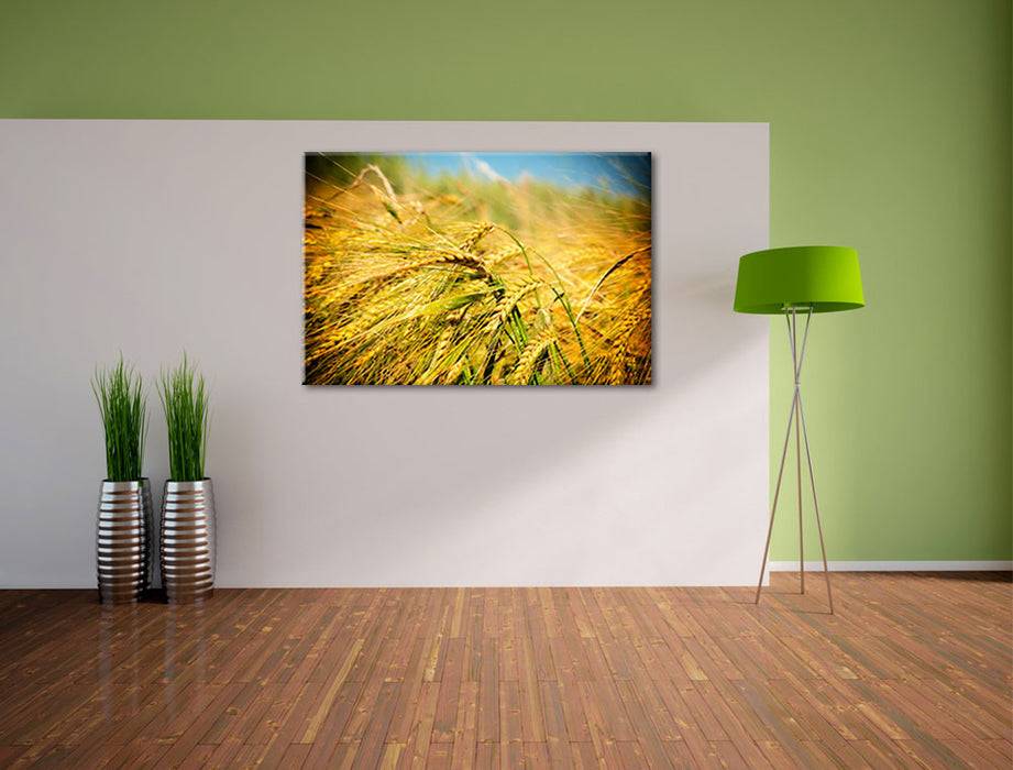 Pixxprint Goldene Getreide Ären, Leinwandbild Verkauf