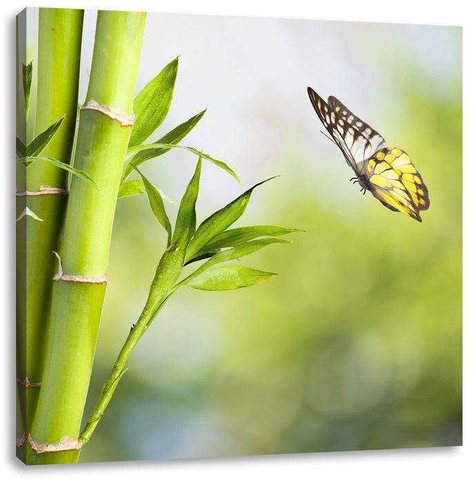 Pixxprint Bambus mit Schmetterling, Leinwandbild Angebote