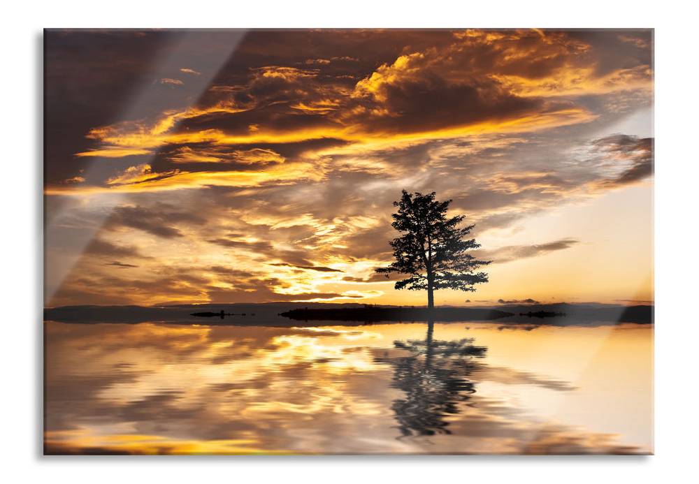 Pixxprint Einsamer Baum auf Insel, Glasbild Exklusivangebot