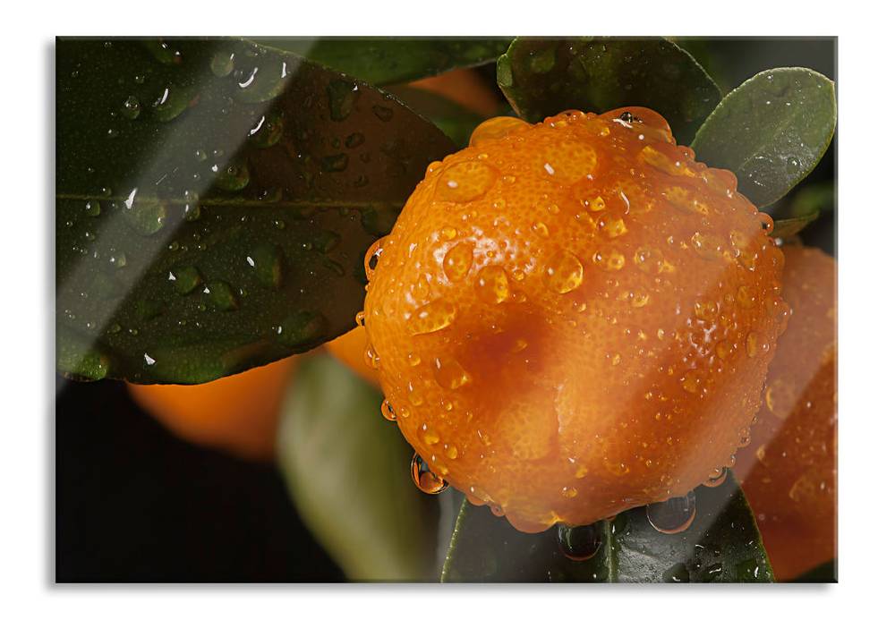Pixxprint Saftige frische Orange, Glasbild