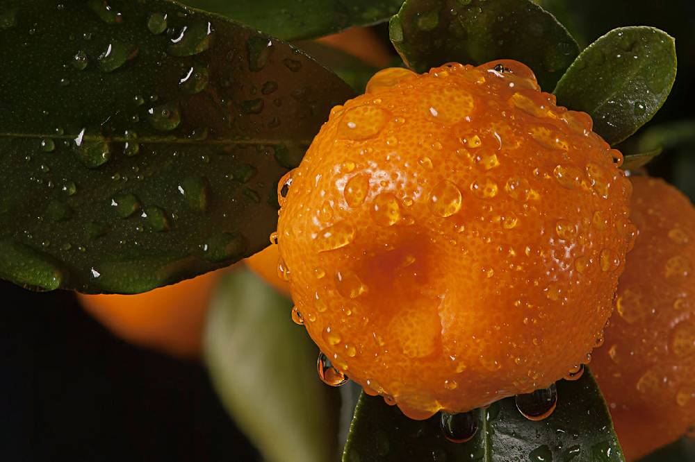 Pixxprint Saftige frische Orange, Glasbild Bestseller