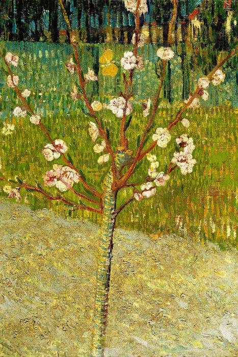 Pixxprint Vincent Van Gogh - Blühender Mandelbaum , Glasbild Saisonale Angebote
