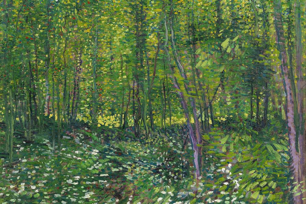 Pixxprint Vincent Van Gogh - Bäume und Unterholz , Glasbild Räumungsverkauf