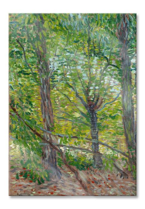 Pixxprint Vincent Van Gogh - Bäume , Glasbild