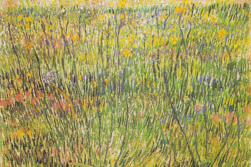 Pixxprint Vincent Van Gogh - Gras-Stelle , Glasbild Tägliche Deals