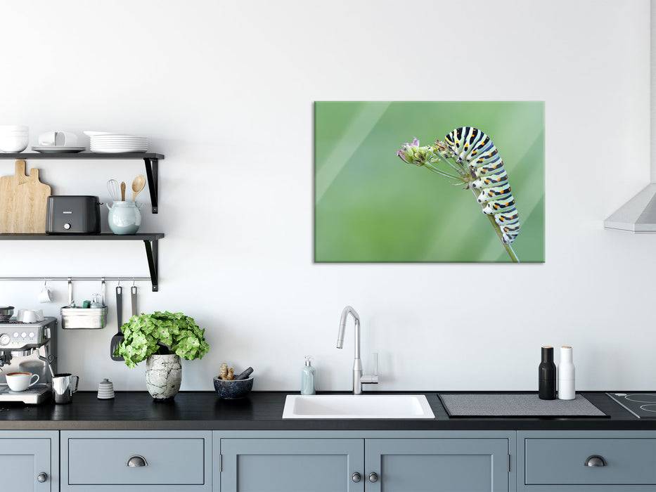 Pixxprint Kleine niedliche Raupe, Glasbild 50% Rabatt mit kostenlosem Versand