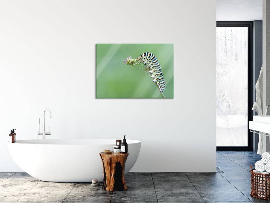 Pixxprint Kleine niedliche Raupe, Glasbild 50% Rabatt mit kostenlosem Versand