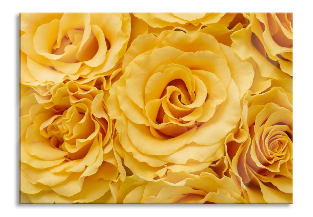 Pixxprint Wunderschöne gelbe Blüten, Glasbild Clearance-Verkauf