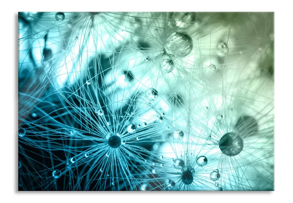 Pixxprint Wassertropfen auf Grashalmen, Glasbild Kostenloser Versand international