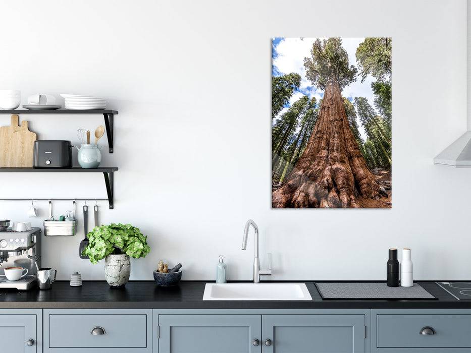 Pixxprint Baum im Regenwald, Glasbild Black Friday Preise