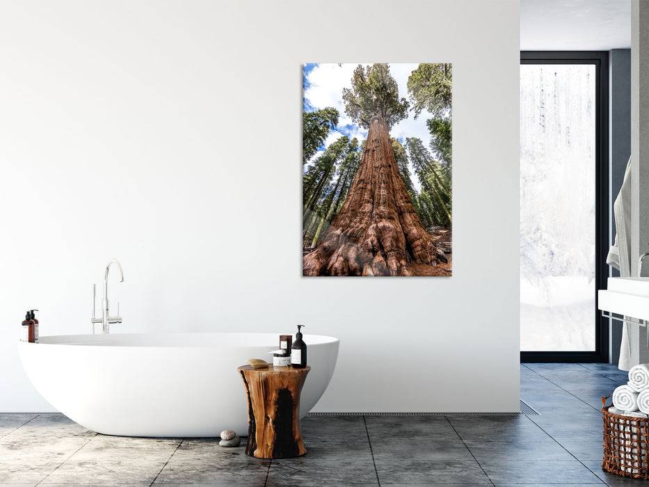 Pixxprint Baum im Regenwald, Glasbild Black Friday Preise