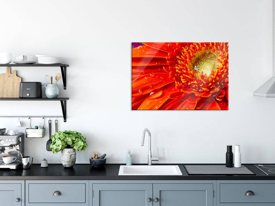 Pixxprint Wunderschöne Gerberablüte, Glasbild Im Verkauf