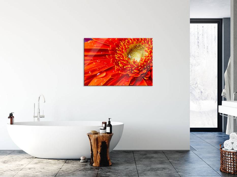 Pixxprint Wunderschöne Gerberablüte, Glasbild Im Verkauf