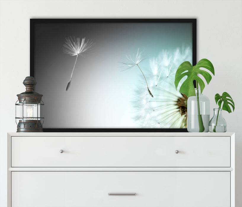 Pixxprint Löwenzahn Pusteblume, Poster mit Bilderrahmen Günstiger Verkauf