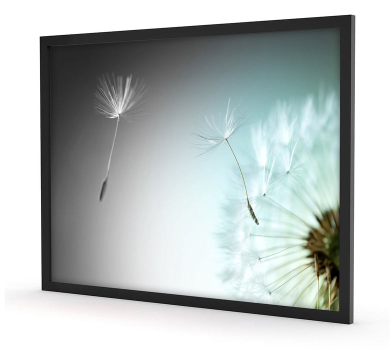Pixxprint Löwenzahn Pusteblume, Poster mit Bilderrahmen Günstiger Verkauf