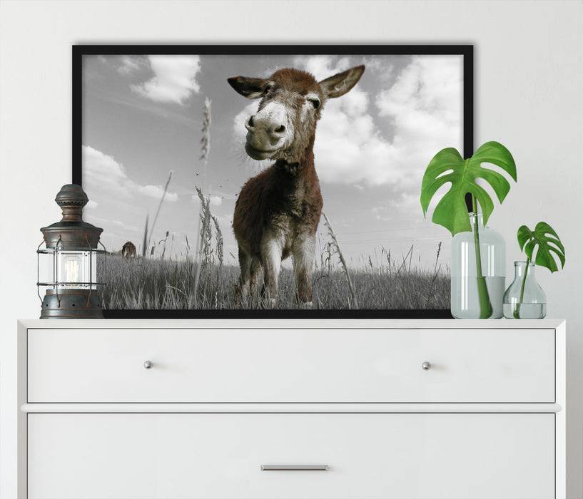 Pixxprint Esel im Feld, Poster mit Bilderrahmen Meist gekauft
