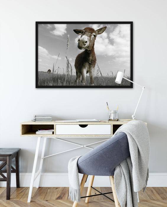 Pixxprint Esel im Feld, Poster mit Bilderrahmen Meist gekauft