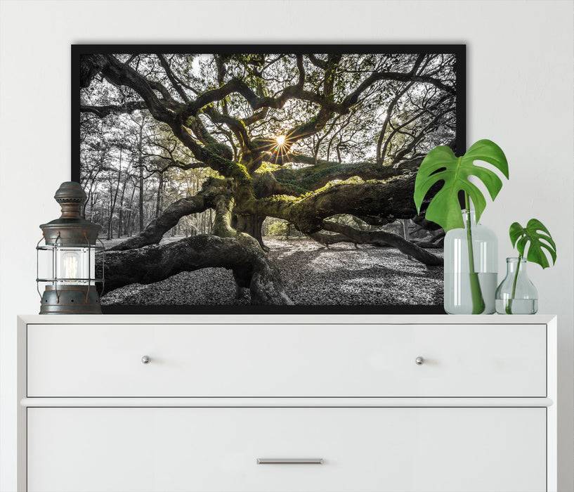 Pixxprint gigantisch verzweigter Baum, Poster mit Bilderrahmen Limitierter Zeitrabatt