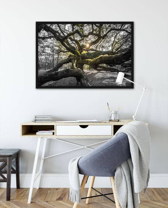 Pixxprint gigantisch verzweigter Baum, Poster mit Bilderrahmen Limitierter Zeitrabatt