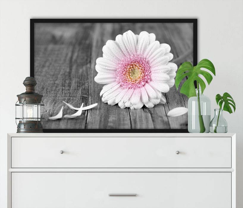 Pixxprint pinke Gerbera auf rustikalem Boden, Poster mit Bilderrahmen Günstig kaufen
