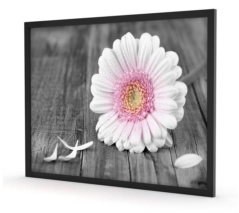 Pixxprint pinke Gerbera auf rustikalem Boden, Poster mit Bilderrahmen Günstig kaufen