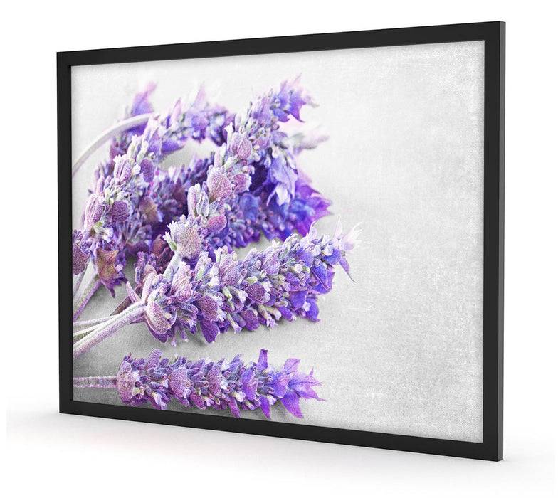 Pixxprint getrockneter Lavendel, Poster mit Bilderrahmen Begrenztes Angebot