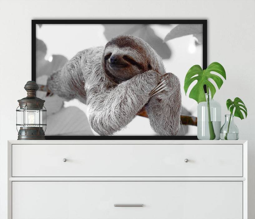 Pixxprint schönes Faultier hängt von Ast, Poster mit Bilderrahmen Cyber Monday
