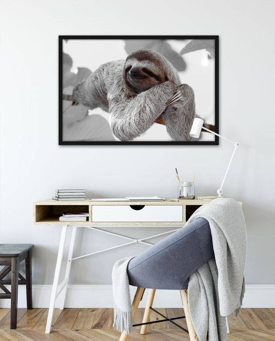 Pixxprint schönes Faultier hängt von Ast, Poster mit Bilderrahmen Cyber Monday